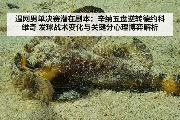 温网男单决赛潜在剧本：辛纳五盘逆转德约科维奇 发球战术变化与关键分心理博弈解析