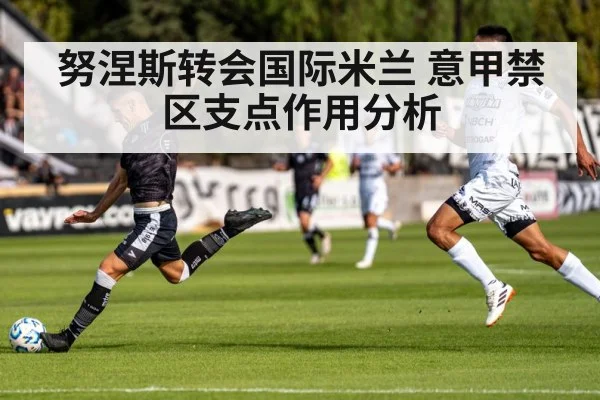 努涅斯转会国际米兰 意甲禁区支点作用分析