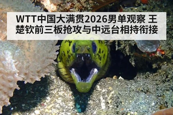 WTT中国大满贯2026男单观察 王楚钦前三板抢攻与中远台相持衔接